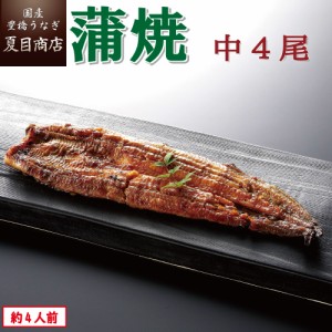 うなぎ 国産 蒲焼き 中115-130g×4尾 約4人前 豊橋うなぎ ウナギ 鰻 送料無料 お中元 暑中見舞い 誕生日 プレゼント 食べ物 真空パック 