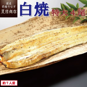 うなぎ 国産 白焼き 特大181-210g×4尾 約7人前 豊橋うなぎ ウナギ 鰻 送料無料 お中元 暑中見舞い 誕生日 プレゼント 食べ物 真空パック