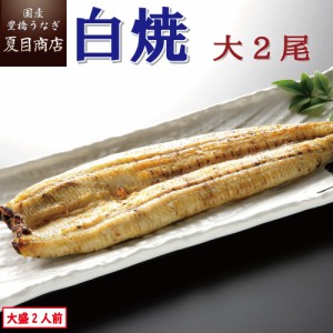 うなぎ 国産 白焼き 大155-180g×2尾 大盛2人前 豊橋うなぎ ウナギ 鰻 送料無料 父の日 誕生日 プレゼント 食べ物 真空パック 贈り物 ギ