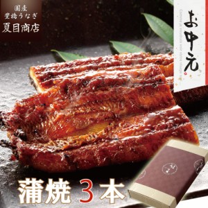 うなぎ 国産 お中元 ギフト 蒲焼き 155-167g×3尾 大サイズ 大盛3人前 送料無料 豊橋うなぎ プレゼント 贈り物 真空パック お祝 鰻 専門