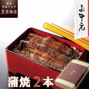 うなぎ 国産 お中元 ギフト 蒲焼き 115-130g×2尾 中サイズ 約2人前 送料無料 豊橋うなぎ プレゼント 贈り物 真空パック お祝 鰻 専門店 