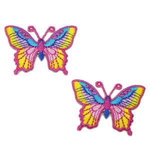 ワッペン アイロン ミニサイズ 2枚セット ミニサイズ 蝶々 バタフライ 昆虫 かわいい 2P アップリケ わっぺん 小さい アイロンで簡単貼り