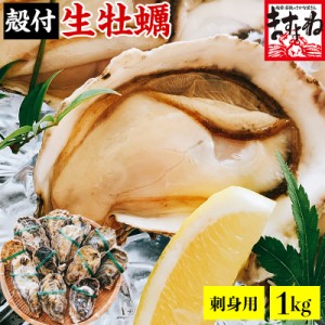 お刺身 かき カキ 牡蠣 国産 殻付き牡蠣1kg前後(12粒入)※高圧処理済みで殻むき簡単！送料無料 ギフト 応援 食品 プレゼント 生牡蠣 生カ