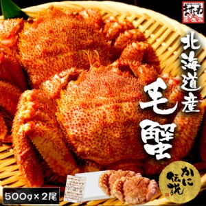 クーポンで★7,998円送料無料 毛ガニ かに カニ 北海道産 大サイズ 茹で毛蟹500g前後×2匹(計1kg) 送料無料 ボイル 茹で 蟹  けがに ケガ