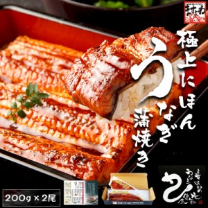 クーポンで★4,999円!! 丑の日 お中元 ギフト うなぎ 鰻 蒲焼き 選べる 特大にほんうなぎ蒲焼き(台湾産) 200g×2尾 or カット蒲焼100g×4