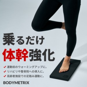 METRIX FOAM エビデンスあり 体幹トレーニング 姿勢矯正 トレーニングマット リハビリマット メトリクスフォーム BODYMETRIX JAPAN ボデ