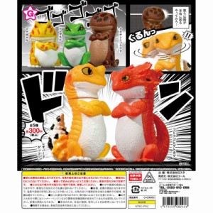 ドン！　全5種セット　ガチャ　カプセルトイ　爬虫類　とかげ　かえる【在庫品】A-23