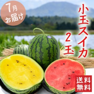 スイカ 2色の小玉すいかセット 山形県産 7月中旬〜7月下旬発送 2玉3kg以上 送料無料 お中元 御中元 フルーツギフト プレゼント 果物 フル