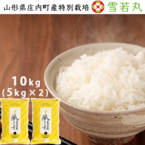 米 10kg（5kgｘ2）送料無料 特別栽培米 雪若丸  山形県産 米シスト庄内 
