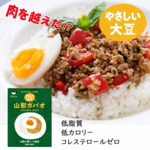 大豆ミート 無添加 国産 レトルト やさしい大豆 山形ガパオ 120g 5個セット 山形 冷凍便