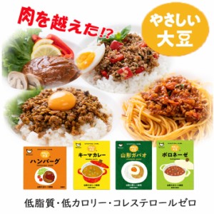 大豆ミート 無添加 国産 レトルト やさしい大豆 4種セット(ハンバーグ・キーマカレー・ガパオ・ボロネーゼ) 山形 冷凍便