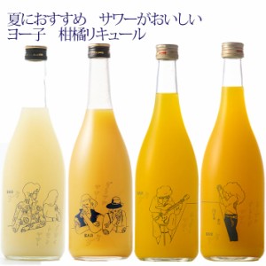 リキュール 楯野川 柑橘系ヨー子 飲み比べ セット ドライレモンサワー グレフルサワー はっさくサワー ネーブルオレンジサワー 720ml 4本