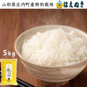 米 5kg 送料無料 特別栽培米 はえぬき 山形県産 米シスト庄内 