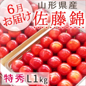 さくらんぼ 佐藤錦 山形県産 特秀L1kg 手詰め 500g×2P 送料無料 6月下旬お届け予定 