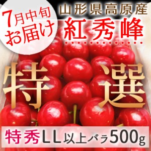 7月ごろ発送予定 山形県寒河江市幸生高原産 特選さくらんぼ 紅秀峰 500gバラ詰め（特秀LL以上）【クール便】ギフト プレゼント