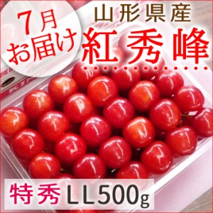 7月上旬お届け 山形県産 さくらんぼ 紅秀峰 特秀LL手詰500g 送料無料 他の商品と同梱不可ギフト プレゼント