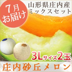 【送料無料】山形県庄内産アンデスメロン＋赤肉メロン 秀３L 1玉ずつ（計2玉）