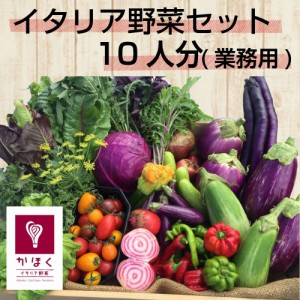 山形県かほくイタリア野菜山盛りセット8〜10種類入り 【送料無料】【北海道、中国、四国、九州、沖縄は送料+500円】ワイ