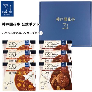 レトルト食品 詰め合わせ ハヤシ ハンバーグ 6食入 ギフト レトルト 惣菜 おかず 神戸開花亭 送料無料 一部地域は追加送料あり 母の日 父