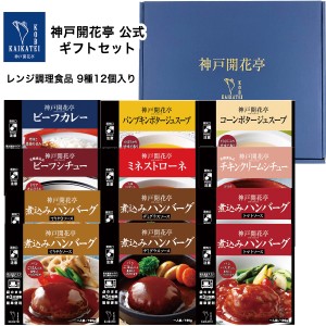 レトルト食品 詰め合わせ レトルトカレー ハンバーグ シチュー スープ 9種12個 ギフト レトルト 惣菜 おかず 神戸開花亭 送料無料 一部地