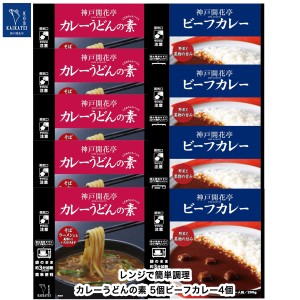 レトルト食品 詰め合わせ カレーうどんの素 レトルトカレー 9食入 レトルト おかず 惣菜 食品 まとめ買い セット 神戸開花亭 母の日 父の