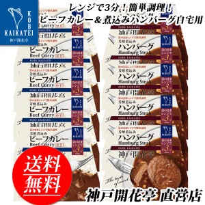 レトルト食品 詰め合わせ レトルトカレー 中辛 ハンバーグ 10食 レトルト おかず 惣菜 食品 まとめ買い セット 神戸開花亭 母の日 父の日