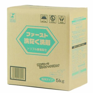 大一産業　粉末洗濯洗剤　ファースト洗たく洗剤　5kg　計量スプーン入り 【洗剤用】