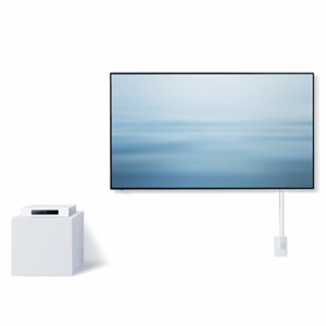 パナソニック【Panasonic】55V型 4K有機ELテレビ ウォールフィットテレビ LW1L TH-55LW1L★【外付けHDD対応】