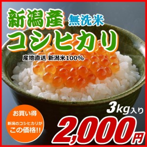 コシヒカリ 無洗米 2000円分（3キロ） 新米 新潟米 お米 新潟産 産地直送 米 コメ お歳暮 自宅用 ギフト 贈答 贈り物