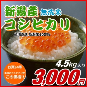 コシヒカリ 無洗米 3000円分（4.5キロ） 新米 新潟米 お米 新潟産 産地直送 米 コメ お歳暮 自宅用 ギフト 贈答 贈り物