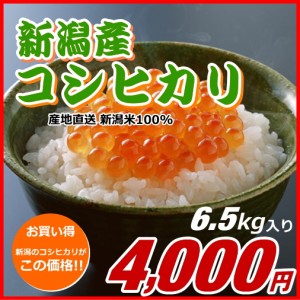 コシヒカリ 4000円分（6.5キロ） 新米 新潟米 お米 新潟産 産地直送 米 コメ お歳暮 自宅用 ギフト 贈答 贈り物