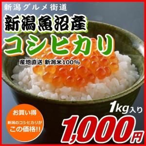 コシヒカリ 魚沼産 1000円分（1キロ） 新米 新潟米 1kg お米 新潟産 産地直送 米 コメ お歳暮 自宅用 ギフト 贈答 贈り物