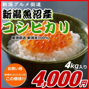 コシヒカリ 魚沼産 4000円分（4キロ） 新米 新潟米 お米 新潟産 産地直送 米 コメ お歳暮 自宅用 ギフト 贈答 贈り物