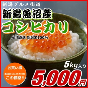 コシヒカリ 魚沼産 5000円分（5キロ） 新米 新潟米 お米 新潟産 産地直送 米 コメ お歳暮 自宅用 ギフト 贈答 贈り物