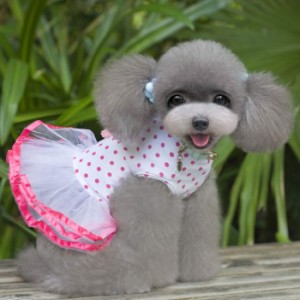 犬服 チュチュ風ワンピース チュチュドレス ドッグウェア 犬 犬用品 小型犬 チュチュ ワンピース ドレス プリンセス Type #4 春夏 
