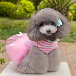 犬服 チュチュ風ワンピース チュチュドレス ドッグウェア 犬 犬用品 小型犬 チュチュ ワンピース ドレス プリンセス 猫 Type #6