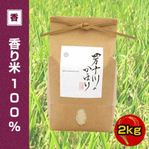 産年経過　特別価格【令和4年度産】四万十川のかほり　仁井田米　香シリーズ　香り米(神の香〜カミノカ）100%　2ｋｇ　/ぬたのかわ/