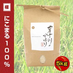 【令和5年度産】仁井田郷米クラブ　四万十川のかほり　仁井田米　極みシリーズ　にこまる100％　5kg　