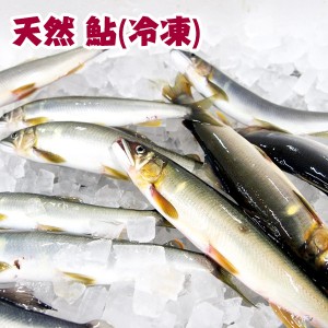 四万十川天然　鮎（冷凍）Mサイズ　5匹セット 1匹約90g〜120g 個包装 あゆ アユ