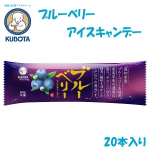 ブルーベリーアイスキャンデー　20本入／久保田食品／サイズ3／アイス／添加物不使用