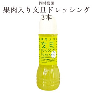 果肉入り文旦ドレッシング　3本　高知　岡林農園／ノンオイル／ぶんたん／