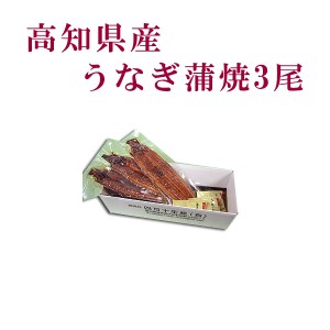 高知県産 うなぎ蒲焼 3尾／四万十 高知 冷凍 国産 無添加 ウナギ 鰻