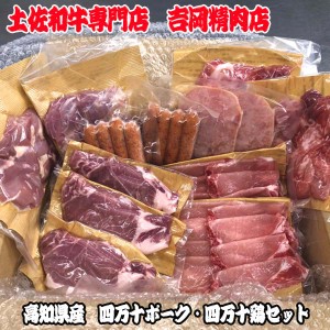 吉岡精肉店厳選 高知県産四万十ポーク 四万十鶏セット/国産 小分けパック 使い切り おひとり様 単身