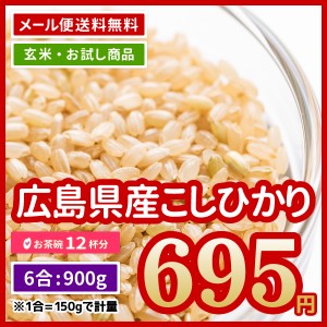 ポイント消化 玄米 広島県産 コシヒカリ 900g（450g×2）令和5年産 お米 送料無料 お試し 米  ※ゆうパケット配送のため日時指定・代引不