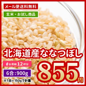 ポイント消化 玄米 北海道産 ななつぼし 900g (450g×2) 令和5年産 6合 お試し お米 米 食べきり 送料無料 ※ゆうパケット配送・日時指定