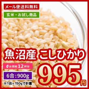 ポイント消化 玄米 極上米 魚沼産 コシヒカリ 900g (450g×2）6合 令和5年産 お試し 米 少量 お米 送料無料 ※メール便のため日時指定・