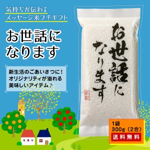 プチギフト お米 「お世話になります」広島県産 コシヒカリ 300g（2合）ギフト ごあいさつ ポイント消化 米  お試し 送料無料 / ※ゆうパ