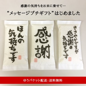 プチギフト お米 広島県産 コシヒカリ 300g/ 感謝 ありがとう 米  お試し 送料無料 ※ゆうパケット配送・日時指定・代引不可