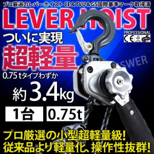 レバーホイスト 0.75t 750kg VM 単品 チェーンブロック チェーンホイスト レバー式 ブロック ガチャガチャ がっちゃ 工具 吊上げ 吊り 送