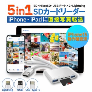 カードリーダー iphone 15対応 データ移行 SD micro-SD USB 2.0 アプリ不要 ドッキングステーション ハブ Type-c Lightning 5in1 スマホ 